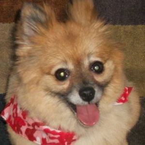 Meet your Posher, Joanna